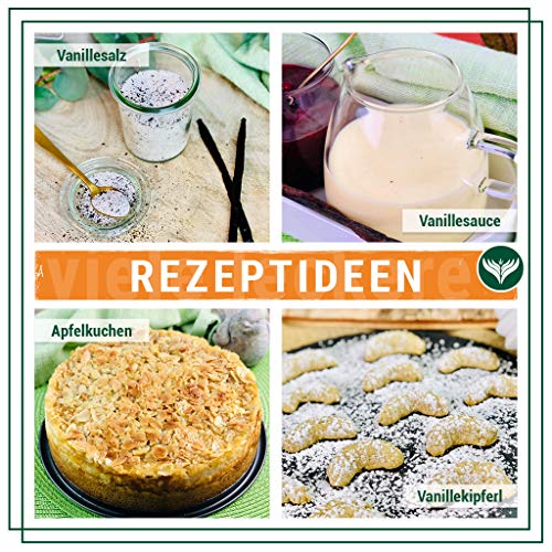 Azafran Vanille gemahlen - Vanillepulver 25g